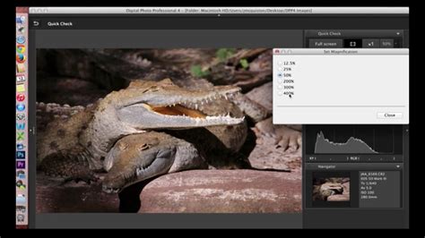 canon digital professional software 4.0.